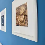 شقة Le Grand Bleu